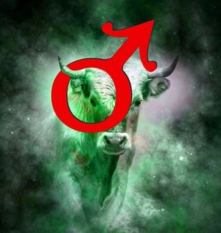 MARS im STIER